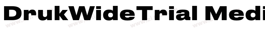 DrukWideTrial Medium字体转换